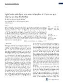 Nghiên cứu nuôi cấy in vitro noãn và bao phấn ớt phục vụ tạo dòng đơn bội kép