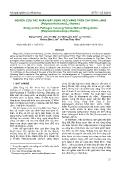 Nghiên cứu tác nhân gây bệnh héo vàng trên cây đinh lăng (polyscia fruticosa (L) harms)