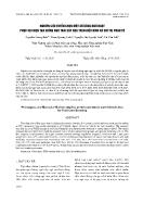 Nghiên cứu tuyển chọn một số dòng ngô ngọt phục vụ chọn tạo giống ngô trái cây dựa trên kiểu hình và chỉ thị phân tử