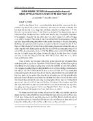 Nhân nhanh cây nưa (amorphophallus krausei) bằng kỹ thuật nuôi cấy mô và tế bào thực vật