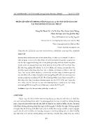 Phân lập một số chủng nấm polyporales sp F6 sản xuất laccase tại thành phố Buôn Ma Thuột