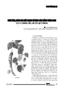 Phân tích, đánh giá chất lượng củ đảng sâm trồng thâm canh tại xã Thông Thụ, huyện Quế Phong