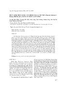 Phát sinh phôi soma cây đinh lăng lá xẻ nhỏ (polyscias fruticosa L harms) thông qua nuôi cấy mẫu lá EX vitro