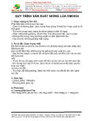 Quy trình sản xuất giống lúa OM5954