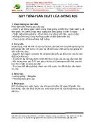 Quy trình sản xuất lúa giống N25