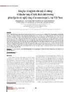 Sàng lọc và nghiên cứu một số chủng vi khuẩn vùng rễ kích thích sinh trưởng phân lập từ cây nghệ vàng (Curcuma longa L) tại Việt Nam