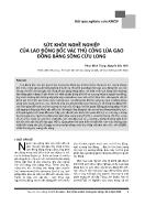 Sức khỏe nghề nghiệp của lao động bốc vác thủ công lúa gạo đồng bằng sông Cửu Long