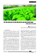 Tập tính sinh học và diễn biến mật độ sâu xanh bướm trắng trên rau cải xanh