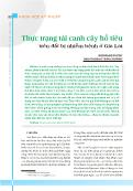 Thực trạng tái canh cây hồ tiêu trên đất bị nhiễm bệnh ở Gia Lai