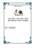 Tiểu luận Hệ thống nông nghiệp