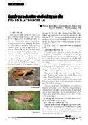 Tìm hiểu các loài lưỡng cư có giá trị bảo tồn trên địa bàn tỉnh Nghệ An