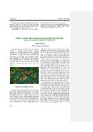 Trồng, hướng dẫn và khuyến cáo trồng cây ngũ sắc lantana camara là hành vi phạm pháp