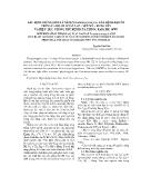 Xác định chủng sinh lý nấm Pyricularia Oryzae CAV gây bệnh đạo ôn trên lúa IRI 352 ở Tân Lập – Yên Mỹ – Hưng Yên và hiệu lực phòng trừ bệnh của thuốc rabcide 30WP
