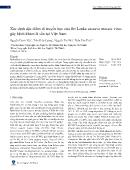 Xác định đặc điểm di truyền học của Sri Lanka cassava mosaic virus gây bệnh khảm lá sắn tại Việt Nam