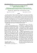 Xác định nguyên nhân gây bệnh thán thư trên cà phê chè tại Sơn La