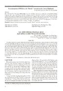 Xác định phương pháp bảo quản hạt giống cà phê vối tại Tây Nguyên