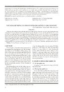 Xây dựng hệ thống tái sinh in vitro cho giống cà chua Montavi