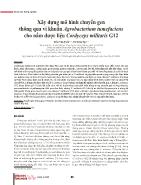 Xây dựng mô hình chuyển gen thông qua vi khuẩn Agrobacterium tumefaciens cho nấm dược liệu Cordyceps militaris G12
